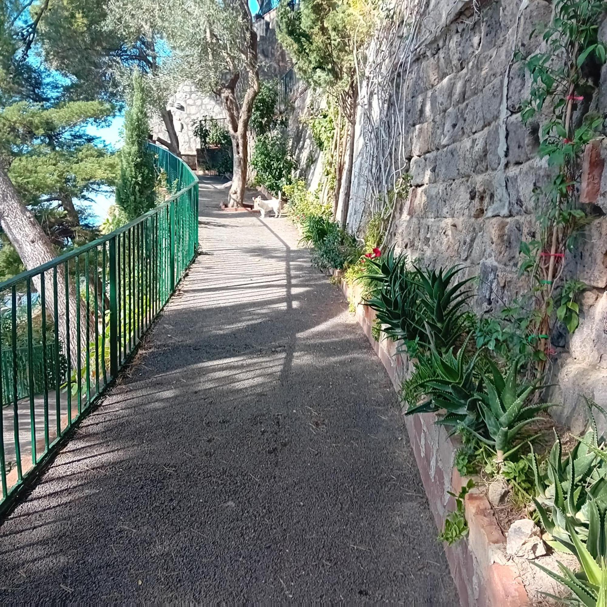 Villa La Galetta วีโกเอเกวนเซ ภายนอก รูปภาพ